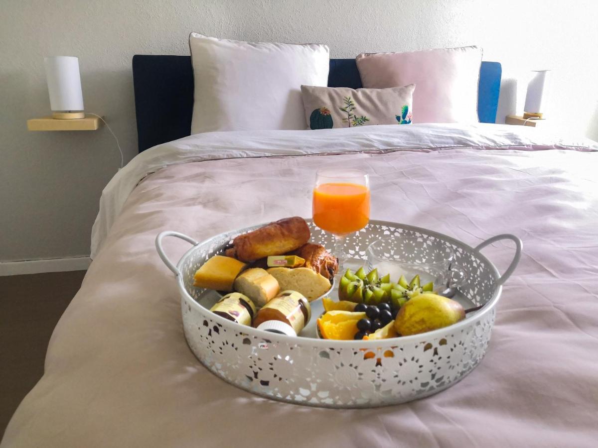Appartement Toulouse Blagnac Aeroport Iut Parking Proche De Toutes Commodites Belle Terrasse Netflix 外观 照片