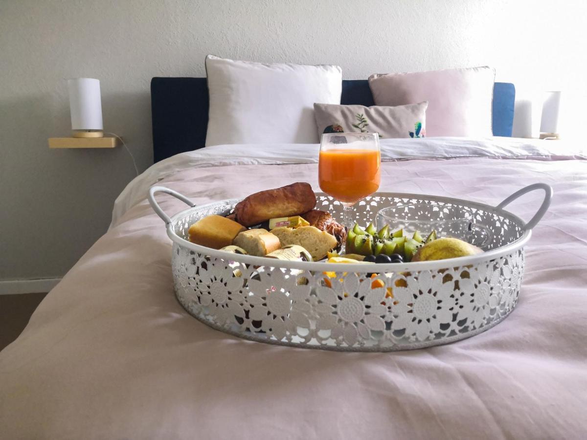Appartement Toulouse Blagnac Aeroport Iut Parking Proche De Toutes Commodites Belle Terrasse Netflix 外观 照片