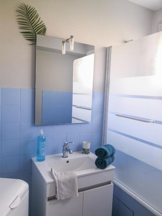 Appartement Toulouse Blagnac Aeroport Iut Parking Proche De Toutes Commodites Belle Terrasse Netflix 外观 照片